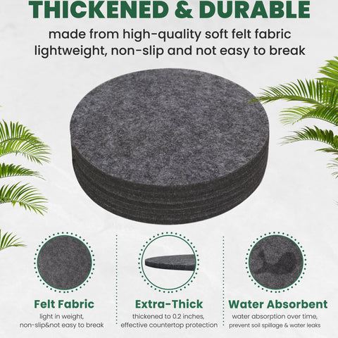 KITLAB felt plant coasters 8-inch protecting floors while moving heavy planters.
