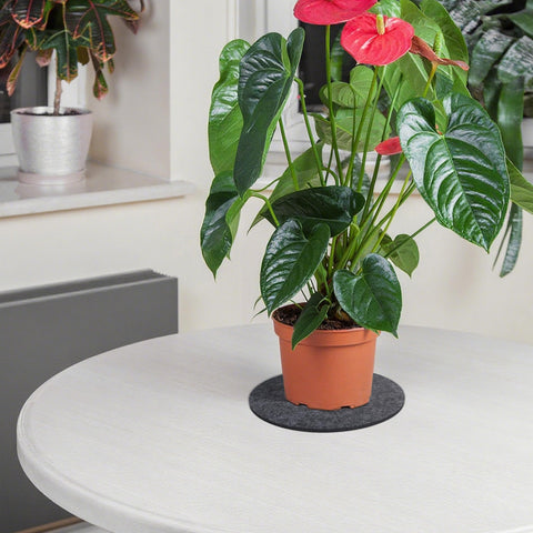 KITLAB stylish felt decor adds natural touch to gardens, patios, and balcony spaces.