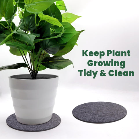 KITLAB surface protection for plants keeps tabletops clean during watering and pot rearrangement.