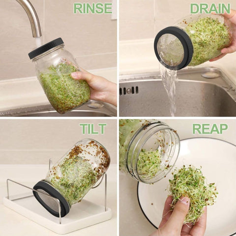 Kitmiido blackout sleeves help grow longer, straighter sprouts.
