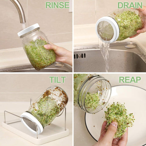 Kitmiido drip tray catches excess moisture during sprouting.