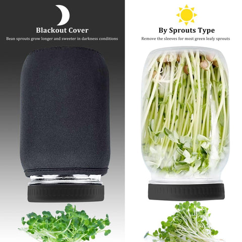 Kitmiido drip tray and stand optimize drainage for healthier sprouts.
