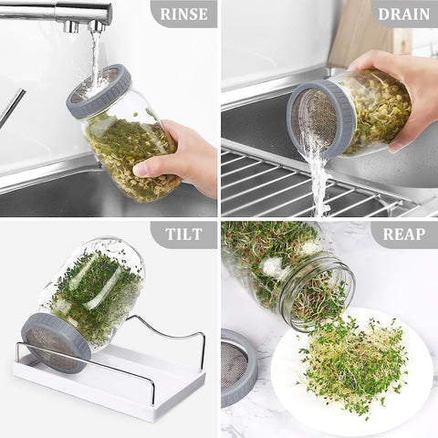 Kitmiido drip tray catches runoff for clean, efficient sprouting