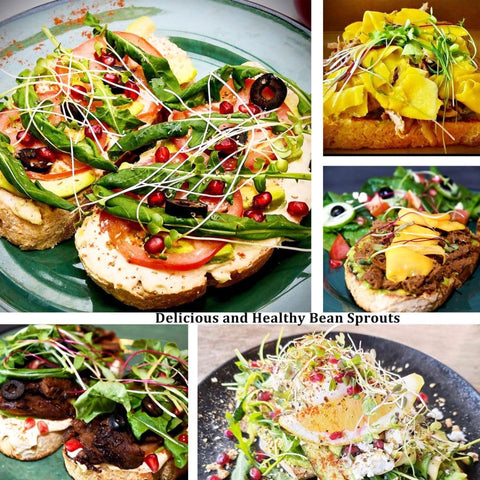 Kitmiido sprouting kit enables simple at-home broccoli and alfalfa sprouts.