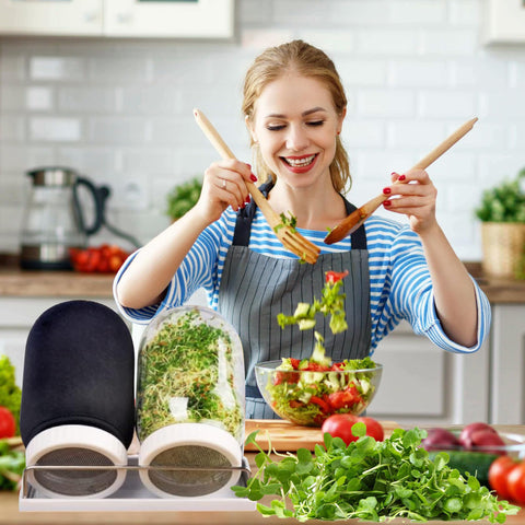 Kitmiido sprouting tray supports even drainage and airflow.