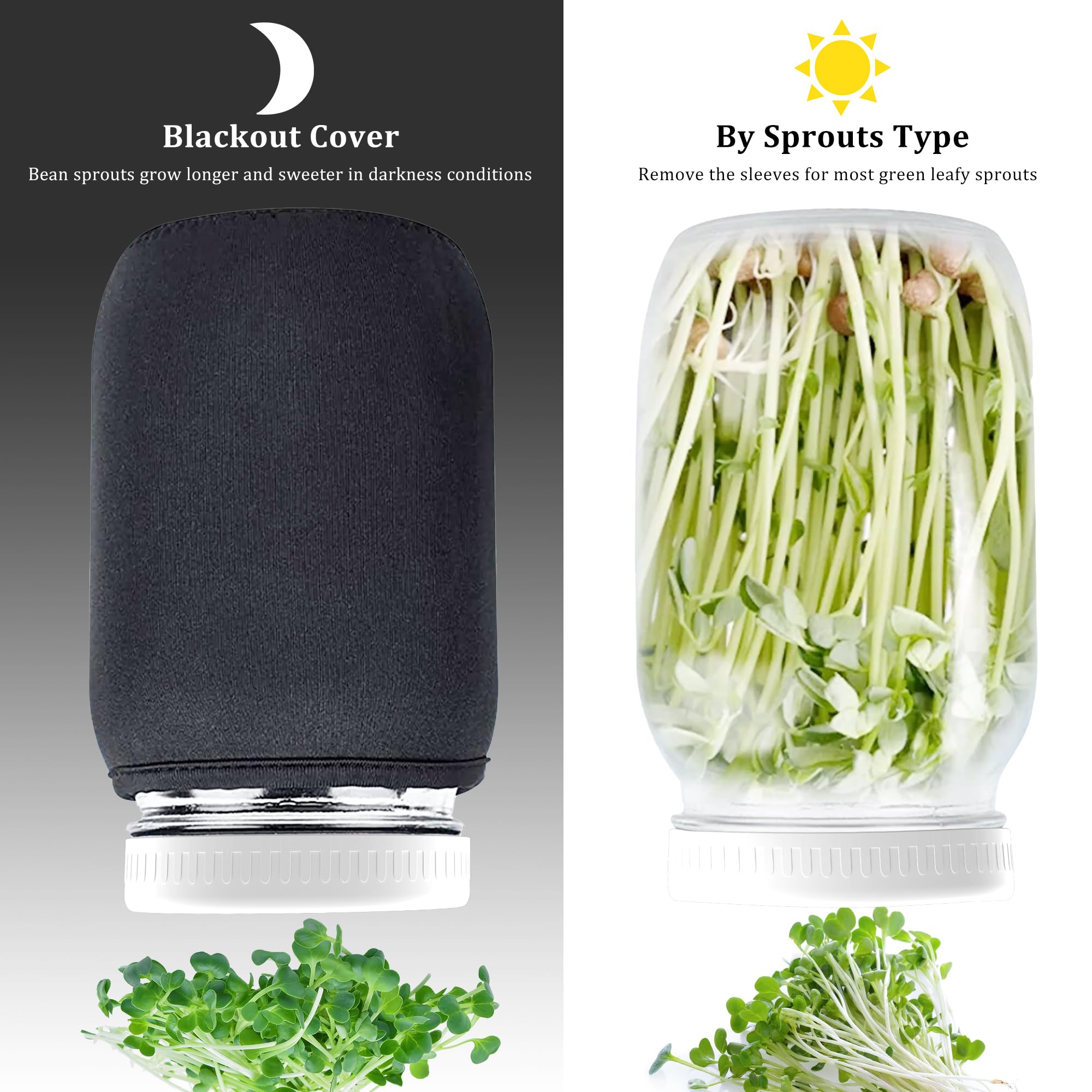 Kitmiido stainless steel stand elevates jars for drainage and airflow.
