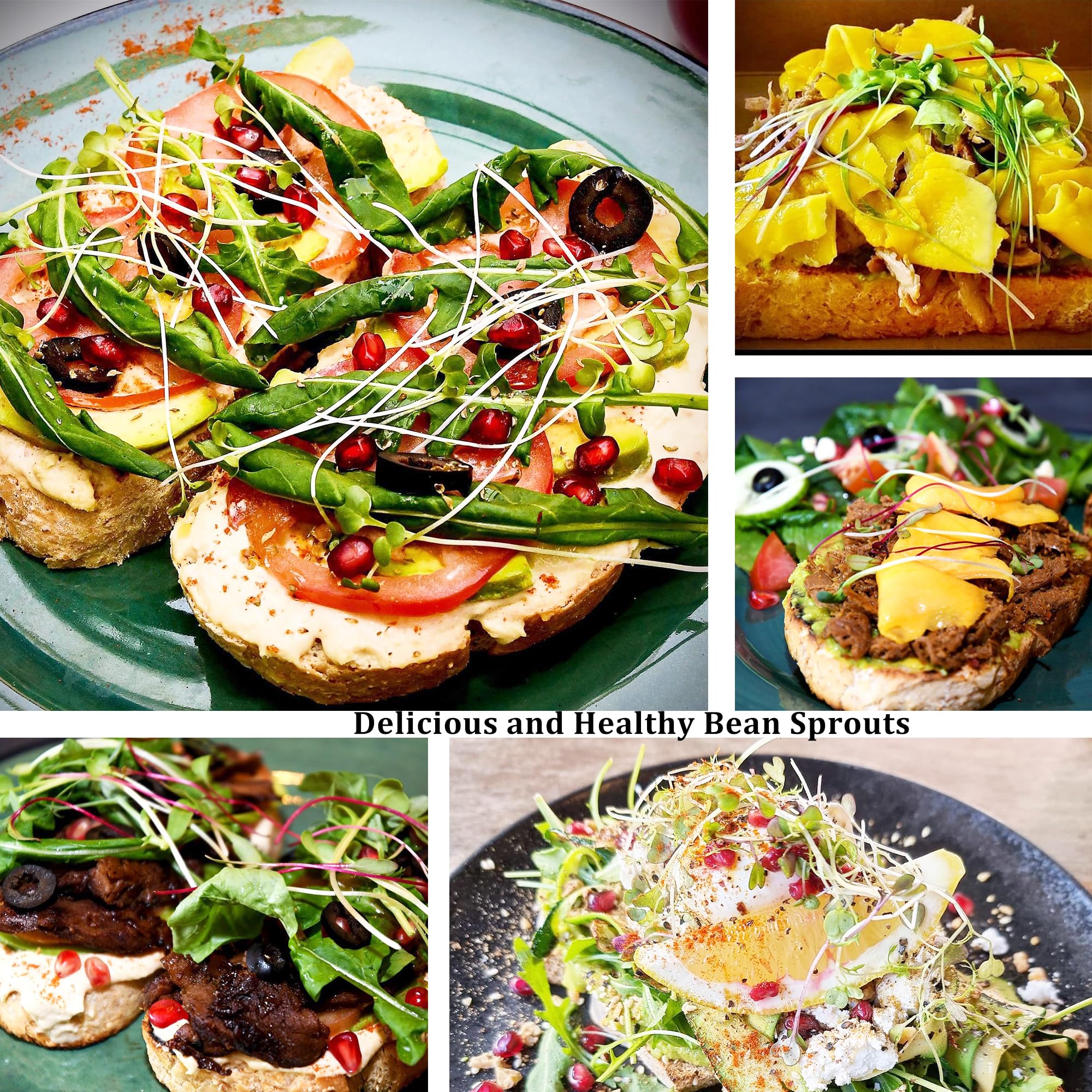 Kitmiido wide-mouth mason jar lids for versatile sprouting use.