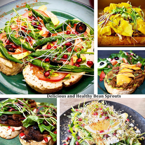 Kitmiido wide-mouth mason jar lids for versatile sprouting use.