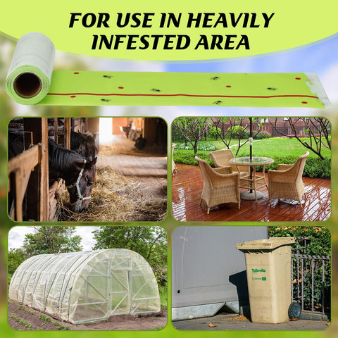 Kittmip tree trap offers simple installation with safe pet-height placement.