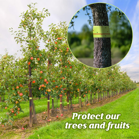 Kittmip 12-rolls provide flexible seasonal coverage for yards and orchards.