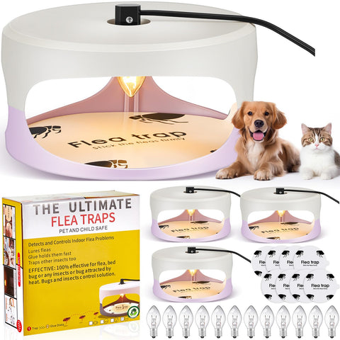 Kittmip four-pack flea traps for indoor use attract fleas safely into the trap