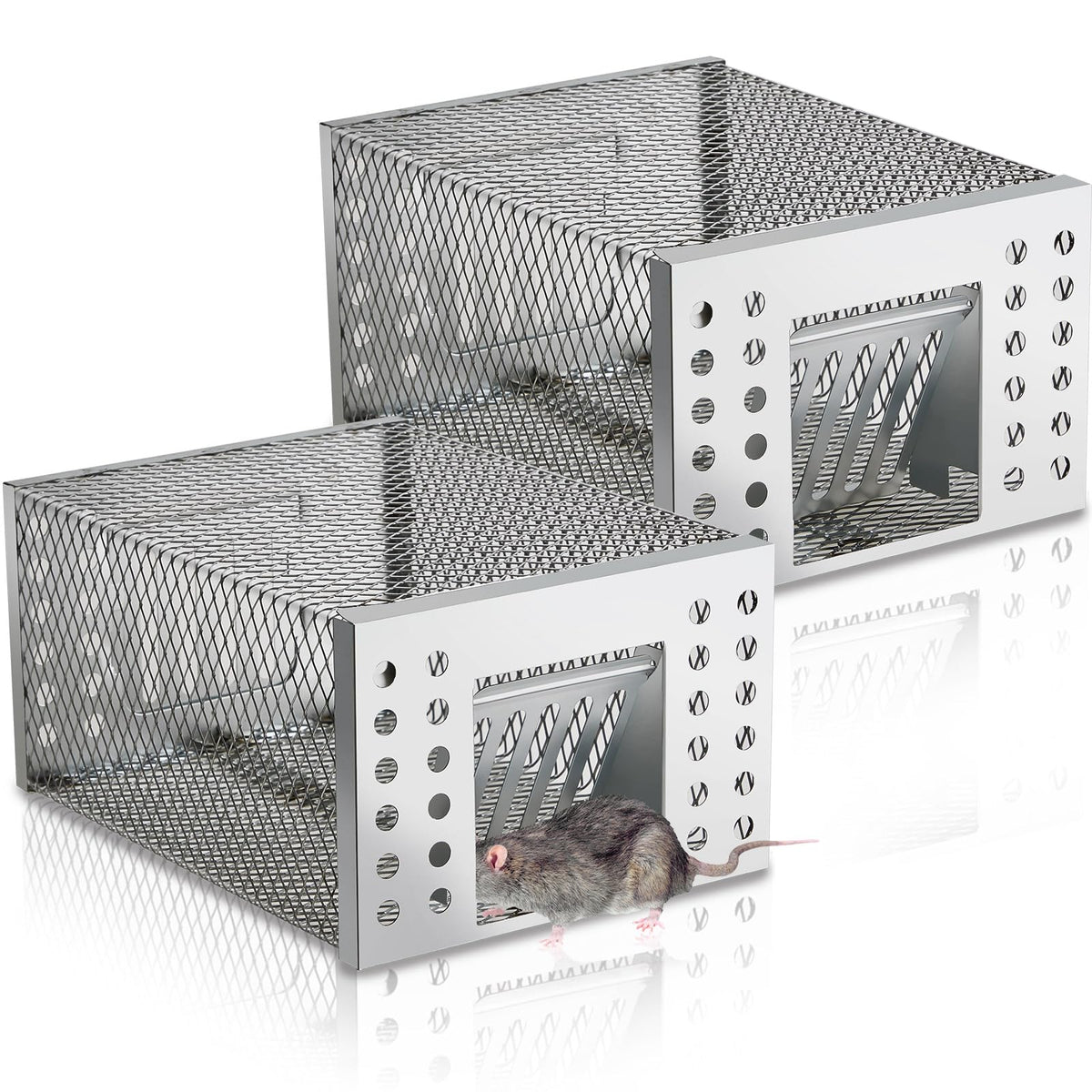 Kittmip humane rat trap front view ready for safe capture and release