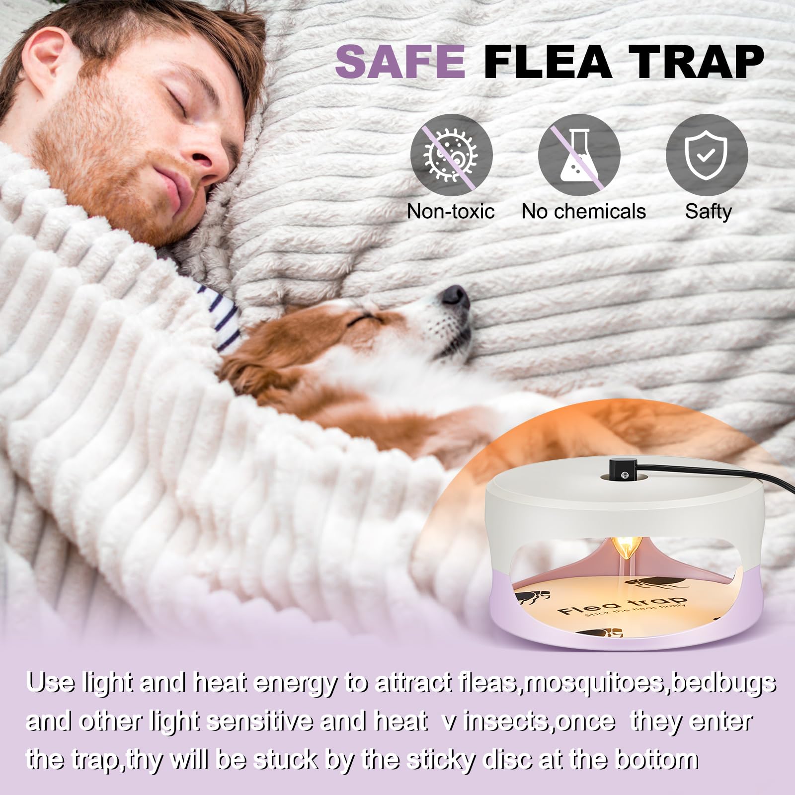 Kittmip indoor setup shown in carpet corner for discreet placement