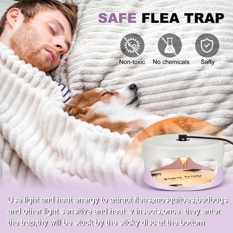 Kittmip indoor setup shown in carpet corner for discreet placement