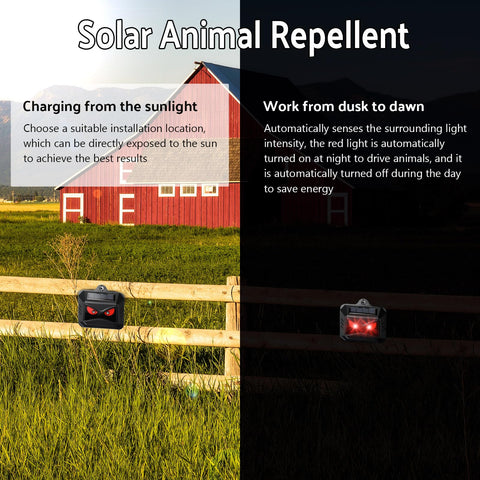 Kittmip deterrent package box highlighting easy setup and solar power