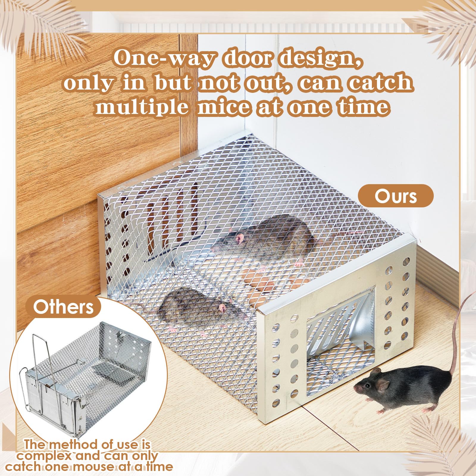 Kittmip traps in a garage setup for indoor and outdoor use