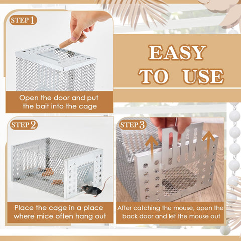 Kittmip two trap package top view for efficient rodent coverage