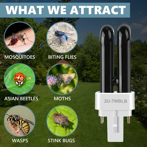Kittmip 360-degree UV beam attracting insects around a Dynatrap