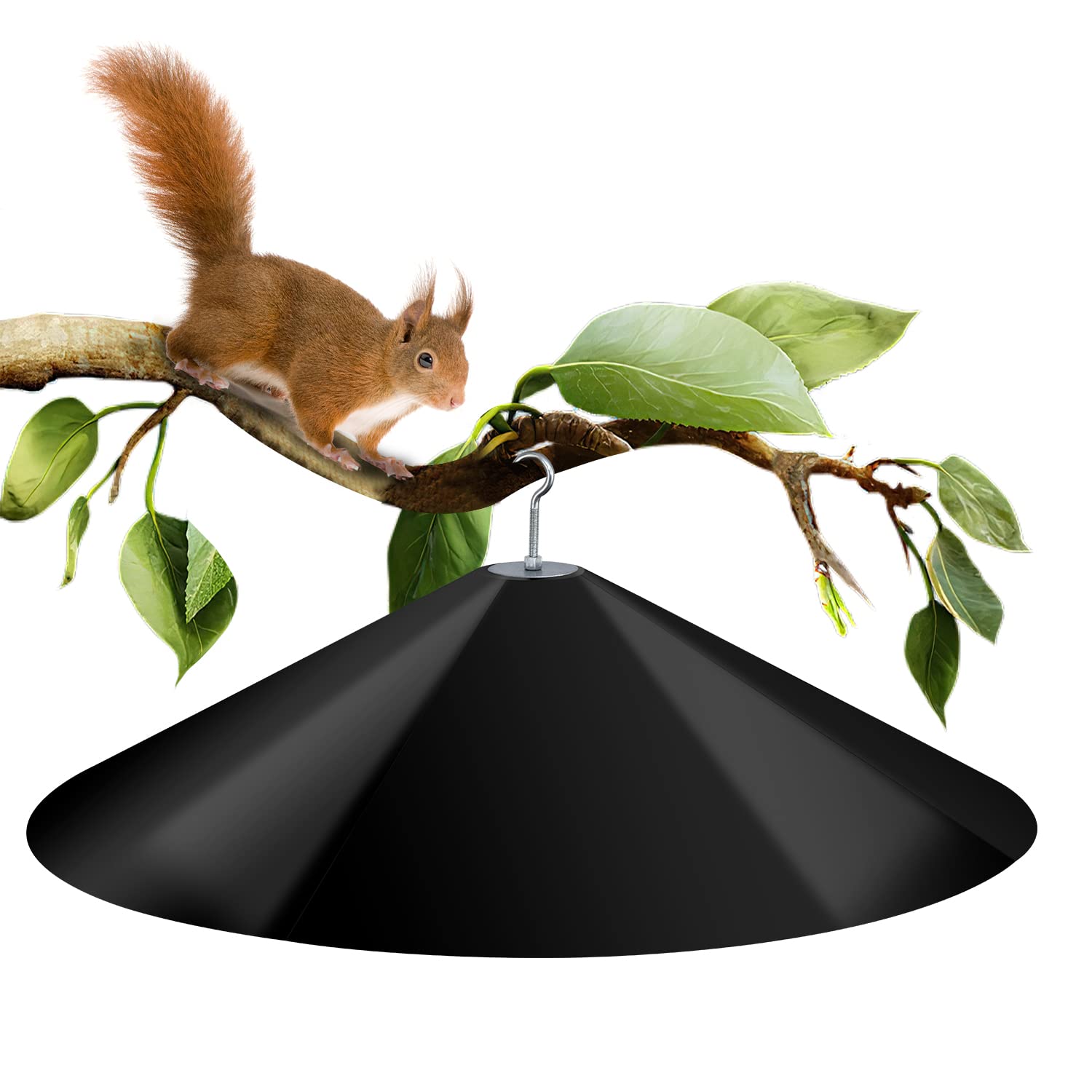 KITVONA bird feeder shield protecting backyard birds from squirrels.