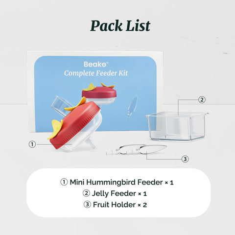 Kiwibit Beako backyard setup showcases diverse bird visits.