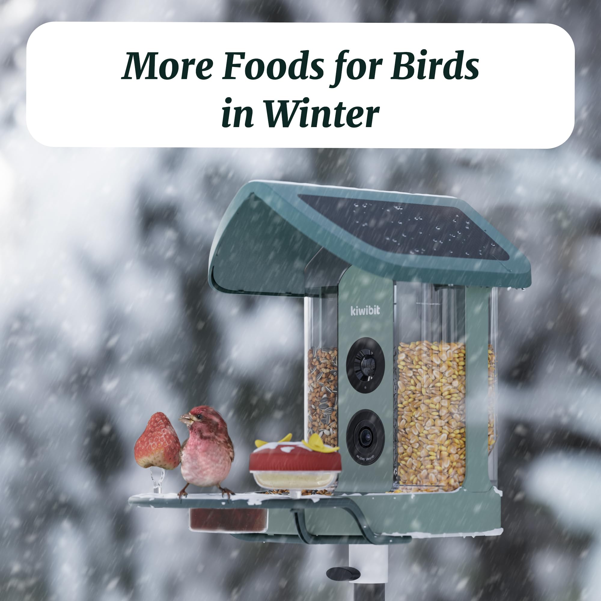 Kiwibit Beako complete kit enables engaging birdwatching at home.