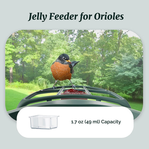 Kiwibit Beako fruit slices feeder entices fruit-loving birds.