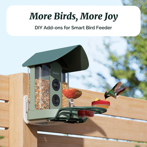 Kiwibit Beako jelly feeder on perch invites orioles and other species.