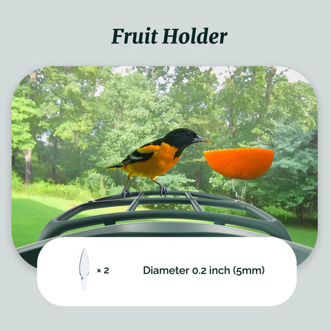 Kiwibit Beako perch stand attachment expands feeding options.