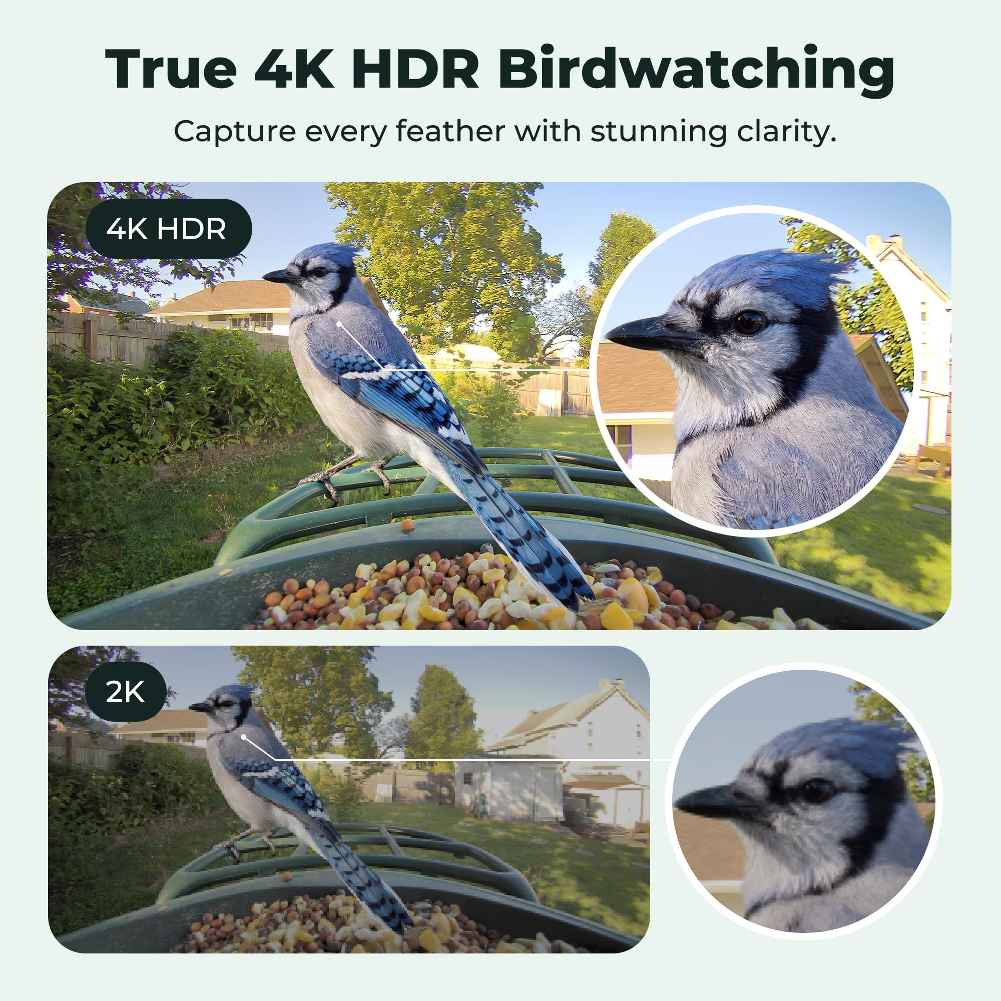Kiwibit camera lens close-up highlighting sharp detail for species identification.