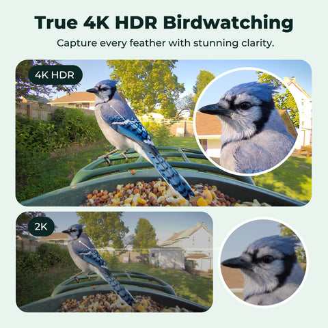 Kiwibit camera lens close-up highlighting sharp detail for species identification.