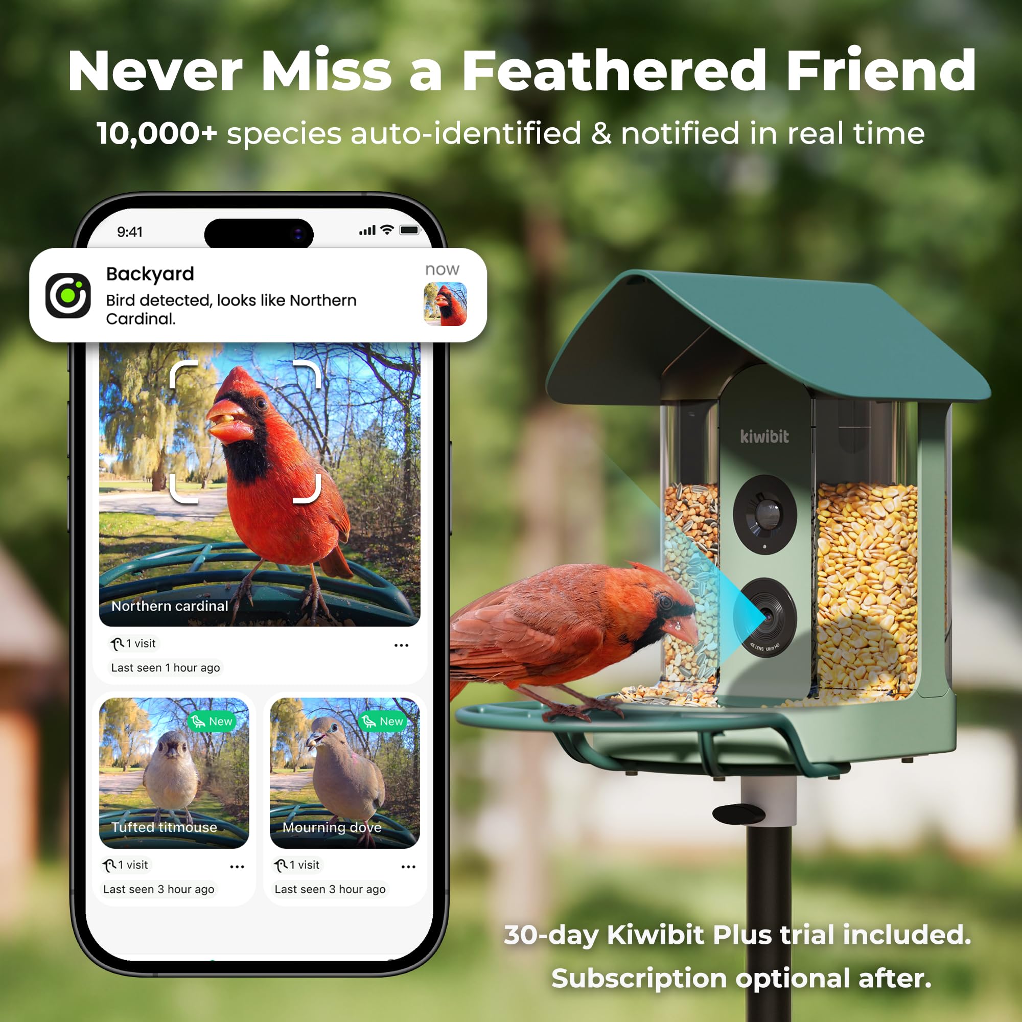 Kiwibit IP65 weatherproof shell protects against rain and snow during year-round watching.