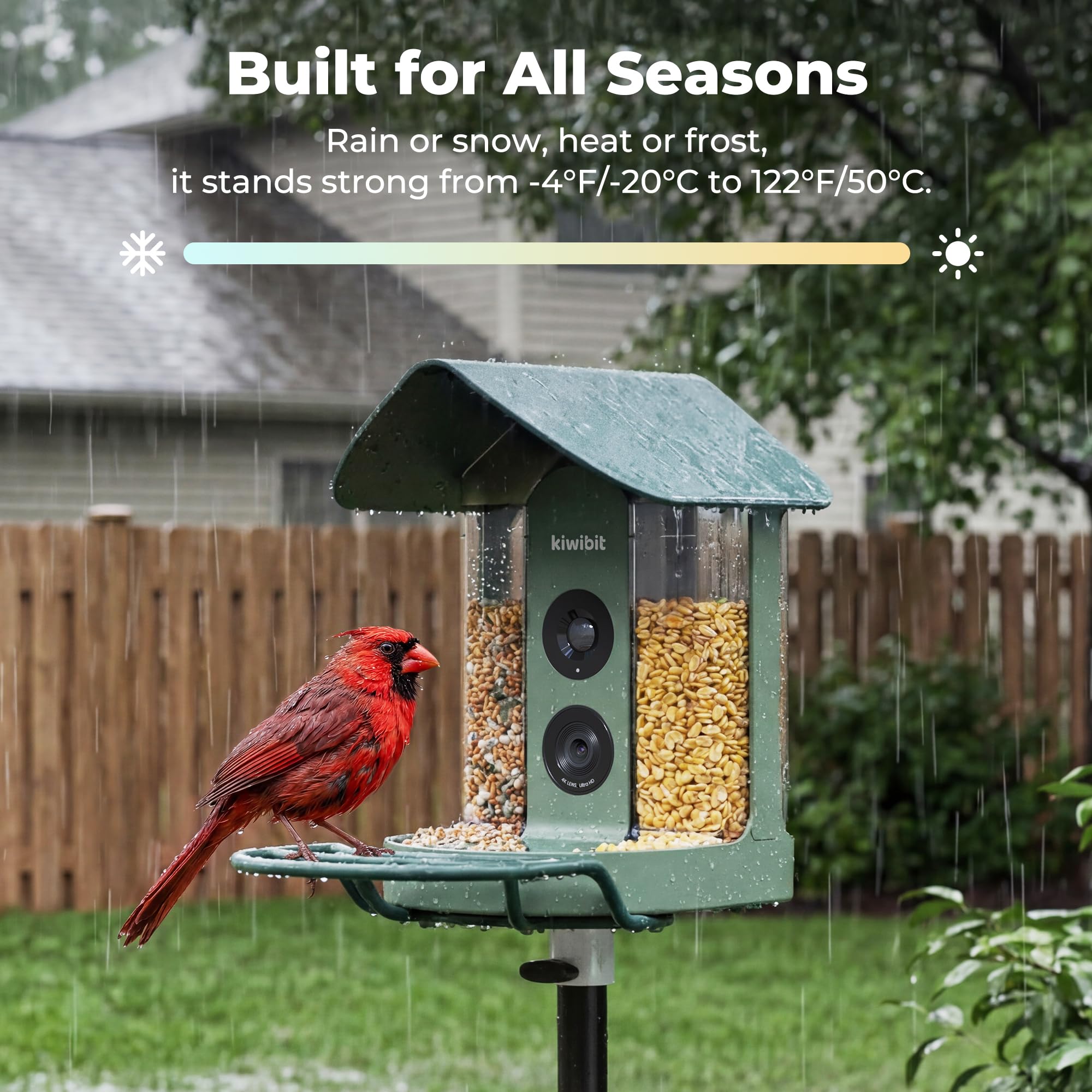 Kiwibit real-time bird alert keeps you informed as birds arrive.