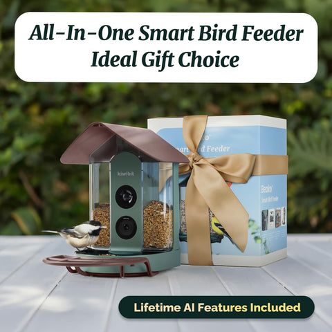 Kiwibit 1.5L seed container reduces refills during busy birdwatching sessions.