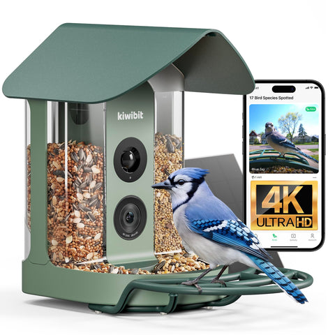 Kiwibit smart bird feeder 4K camera front view for immersive backyard birdwatching.