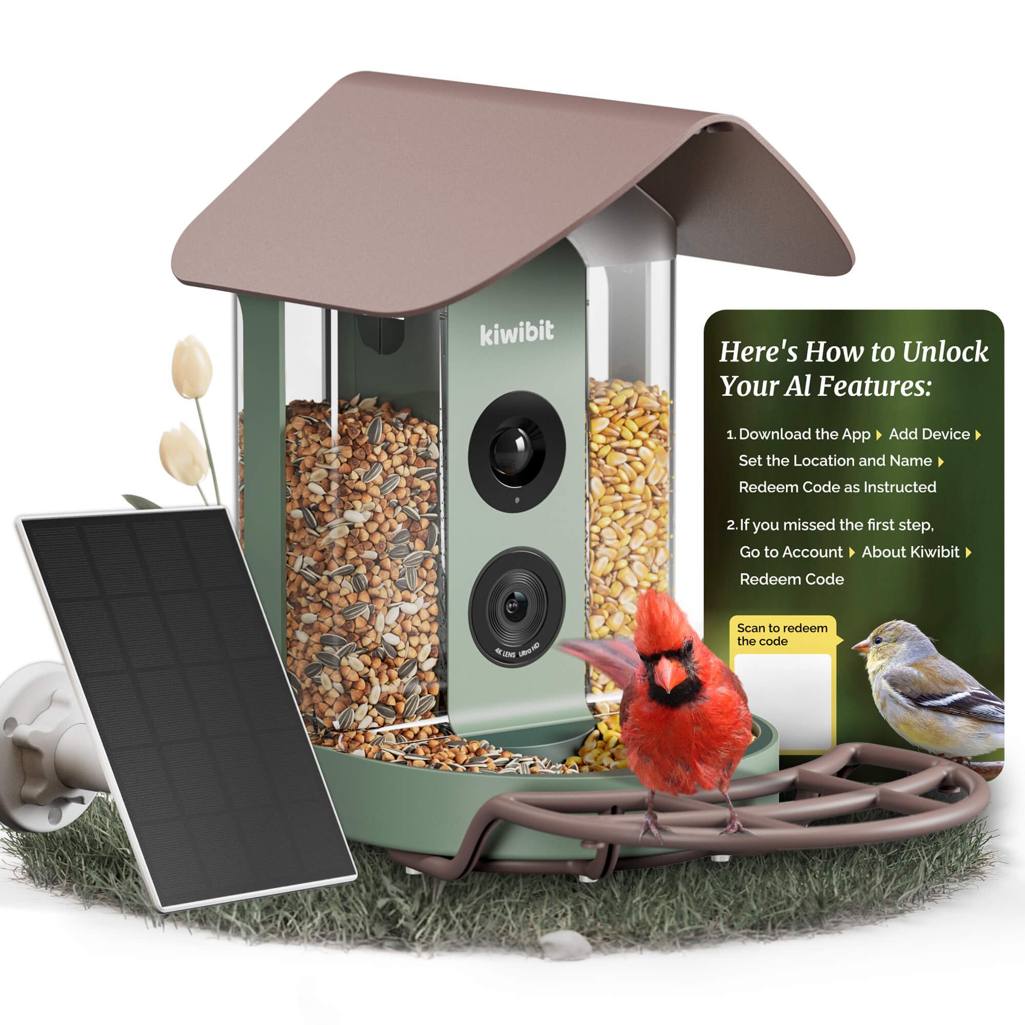 Kiwibit Smart Bird Feeder 4K camera captures crisp wildlife footage for backyard birding.