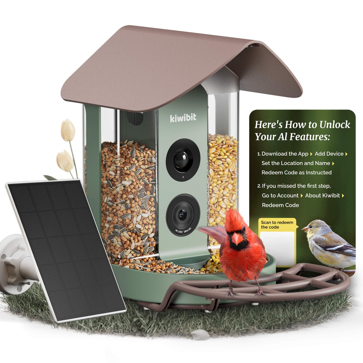 Kiwibit Smart Bird Feeder 4K camera captures crisp wildlife footage for backyard birding.