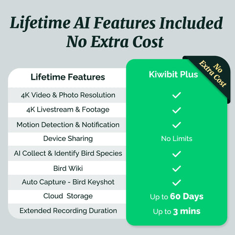 Kiwibit Smart Bird Feeder 8MP photos deliver detailed plumage and beak texture.