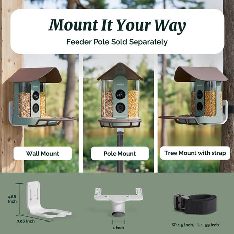 Kiwibit IP65 durability stands up to rain, snow, and seasonal weather.