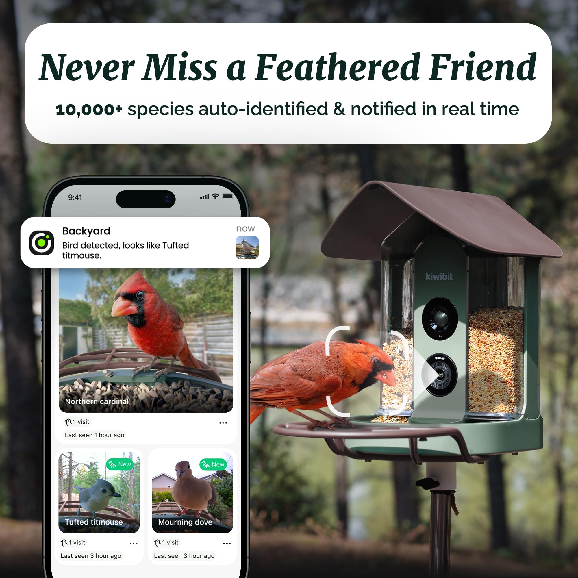 Kiwibit Smart Bird Feeder solar panel powers the camera for day and night monitoring.