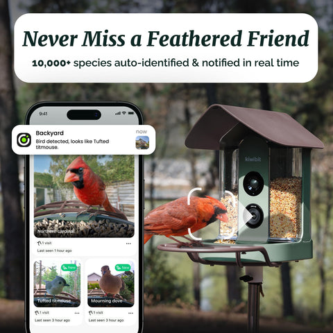 Kiwibit Smart Bird Feeder solar panel powers the camera for day and night monitoring.