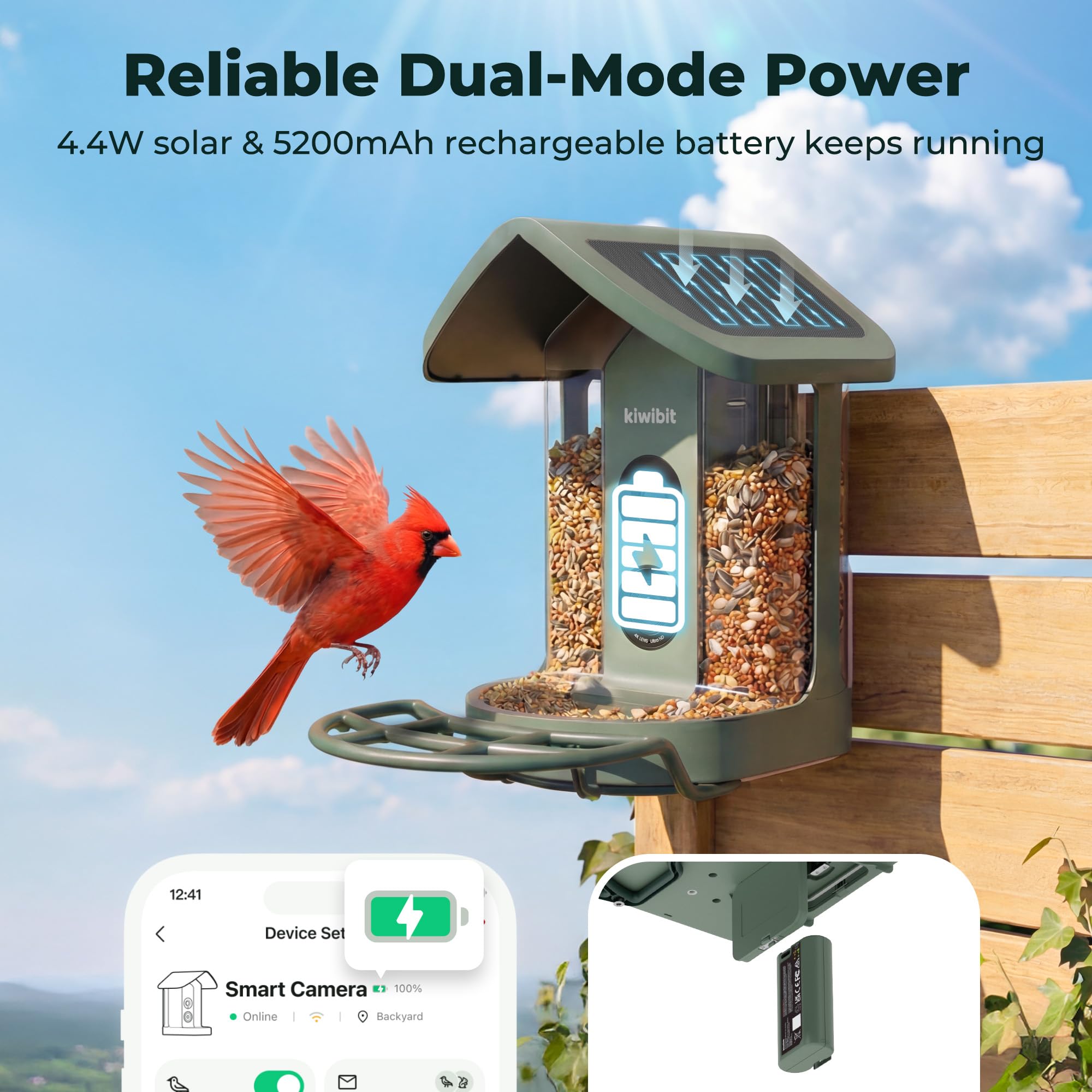 Kiwibit Solar Bird Feeder 4K video sample during daytime