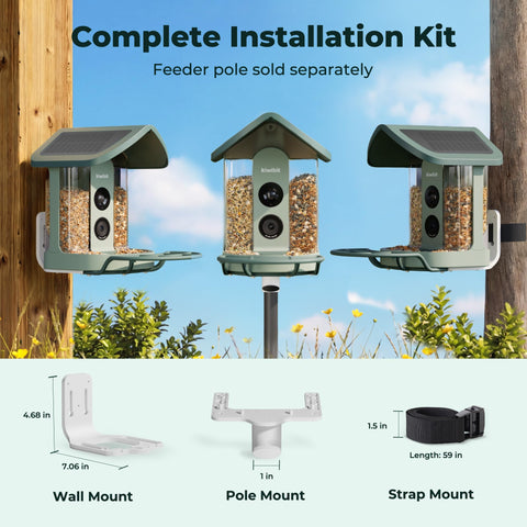 Kiwibit Solar Bird Feeder in a backyard observation setup