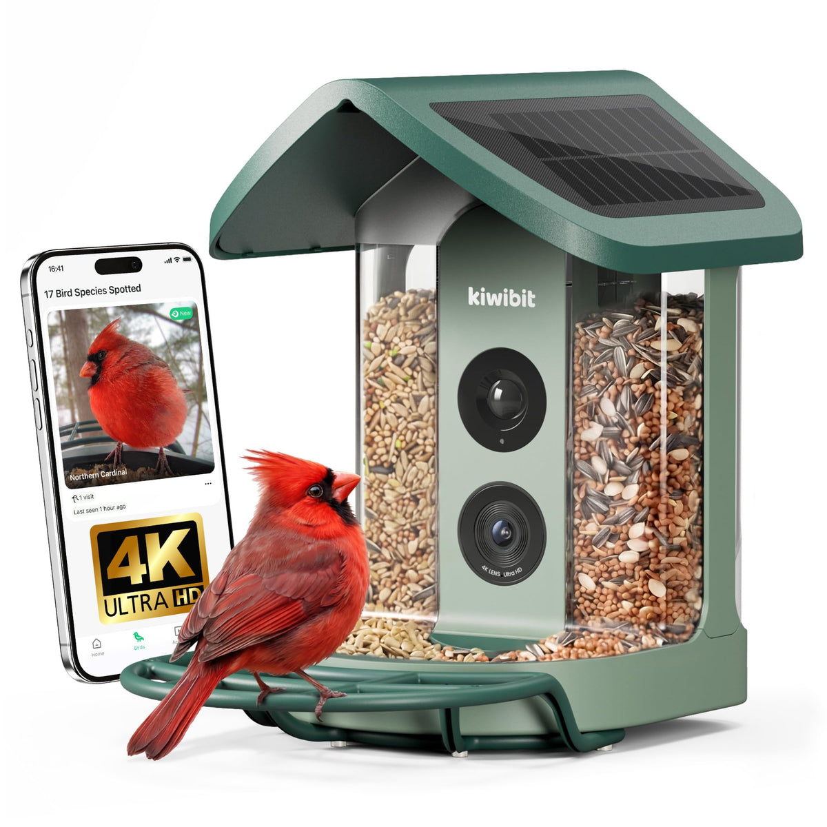 Kiwibit Solar Bird Feeder Camera front view captures visiting birds in 4K