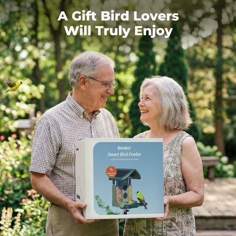 Kiwibit Solar Bird Feeder hopper open reveals 1.5L capacity