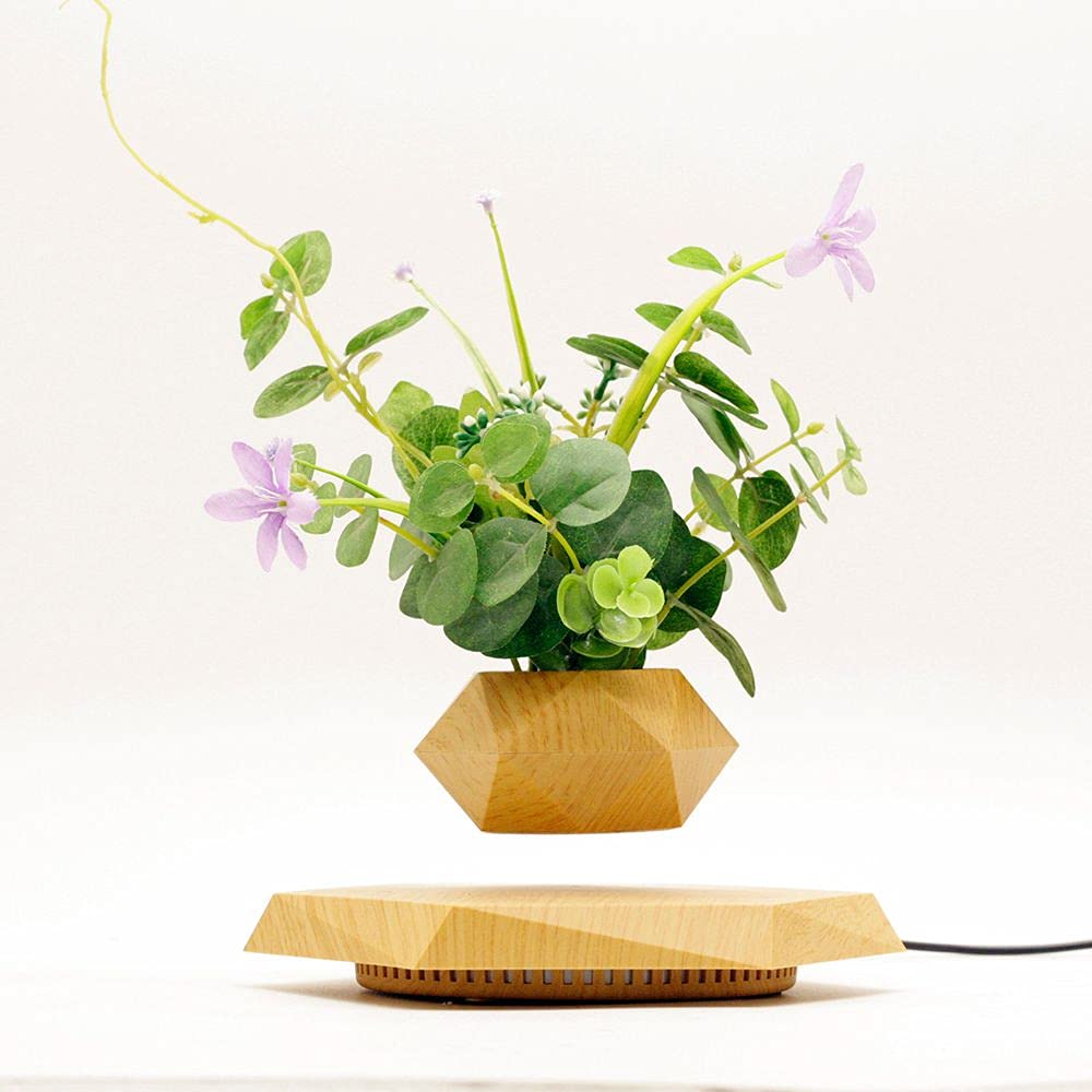 KIYOMING levitating bonsai in air demonstrates an eye catching office centerpiece