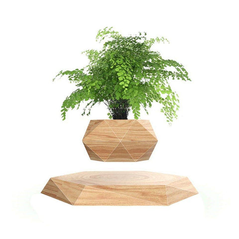 KIYOMING levitating hexagon base shows a floating plant for modern desk decor