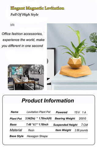 KIYOMING suspension flower holder showcases 360 degree rotation for dynamic plant displays