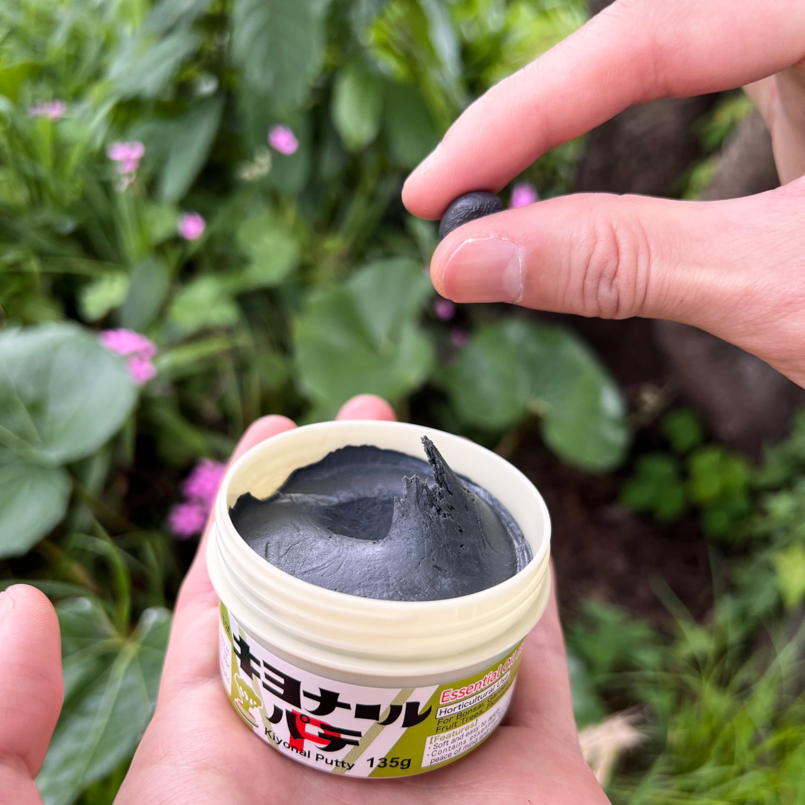 Kiyonal Bonsai Cut Paste packaging and gray formulation ideal for grafting care.