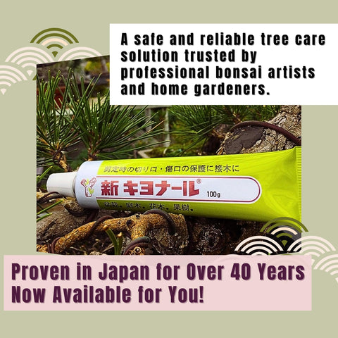 Kiyonal official packaging with English instructions visible.