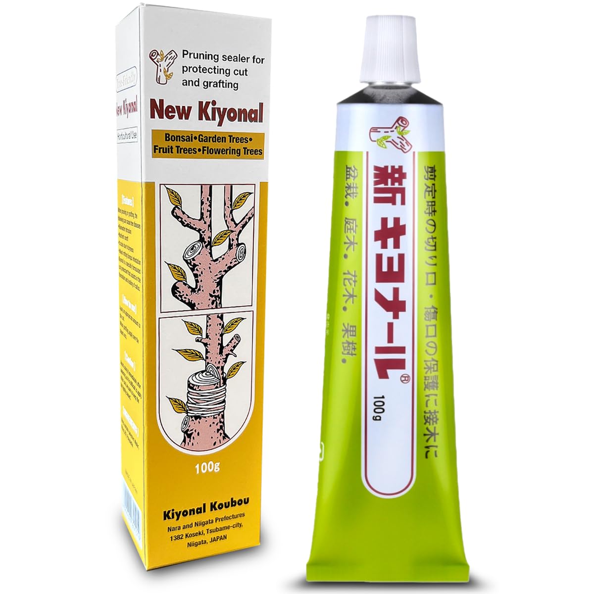 Kiyonal pruning paste applied to a fresh bonsai cut for sealing.